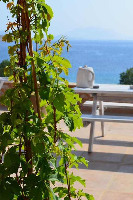 Villa Aristoteles Халки Номер фото
